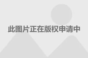和阿同居的日子2三级：网友们纷纷表示剧情设定新颖，角色发展引人入胜，期待后续的发展与更多惊喜
