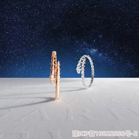 多娜泰拉达米尼娅满天星：全新艺术展览即将揭幕，带你领略璀璨星空下的创意与灵感