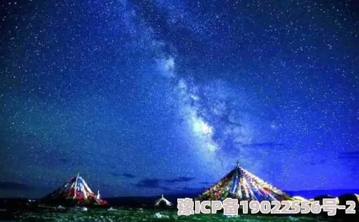 多娜泰拉达米尼娅满天星：全新艺术展览即将揭幕，带你领略璀璨星空下的创意与灵感