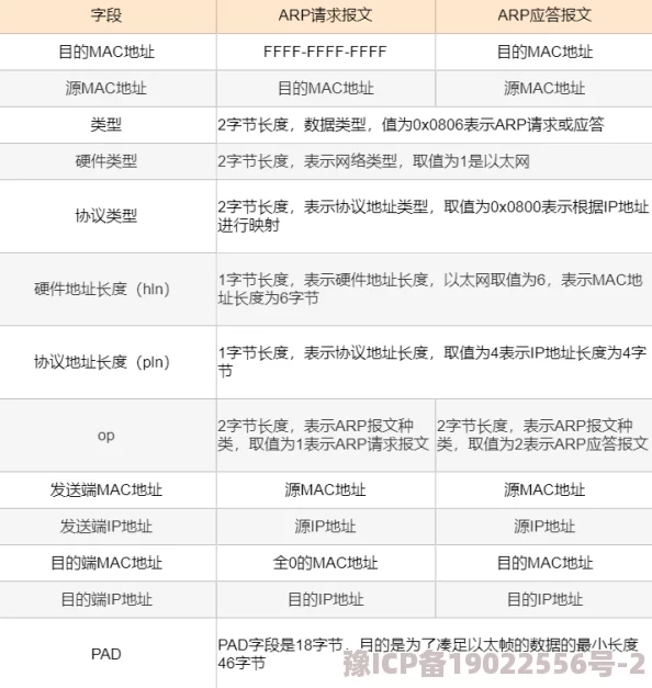 我的世界观察者的用途详解：如何利用观察者实现自动化